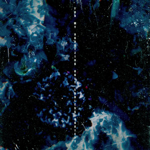 男模互摸裤裆Gay2023
